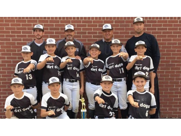 Youth Baseball Summer Tournament Is Coming!